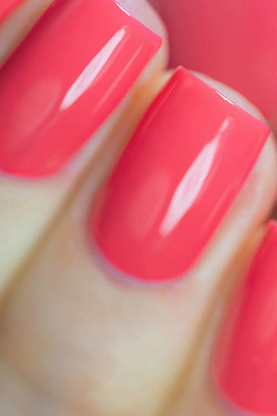 Nail Polish Collection