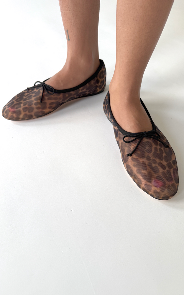 
                  
                    Landon Leopard Mesh Ballet Flat
                  
                